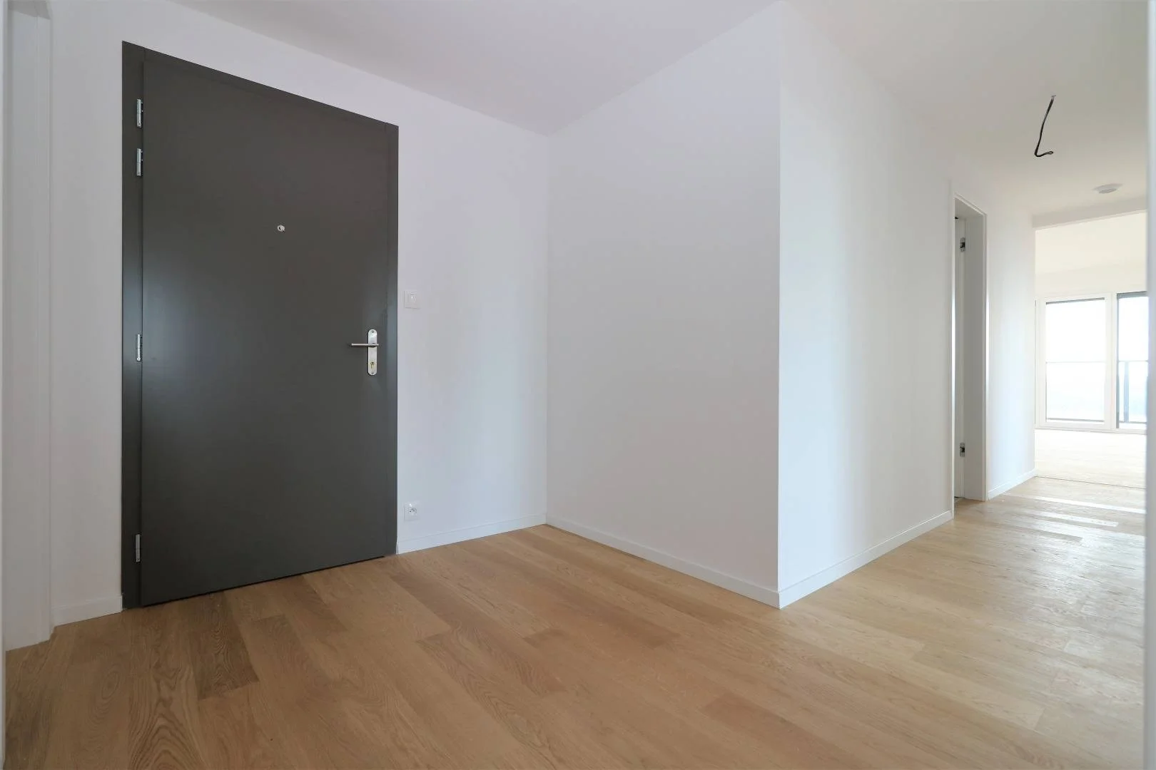 Коридор с дверью и ламинатом — 3-к квартира, продажа, Братислава