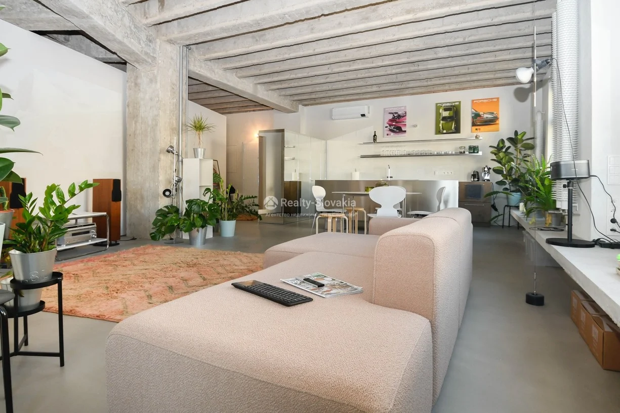 Кухонная зона с барной стойкой и растениями — 3-к квартира, аренда, Братислава (Старе Место)